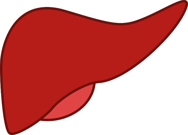 Anavar Liver Toxicity: Assessing Hepatic Risks